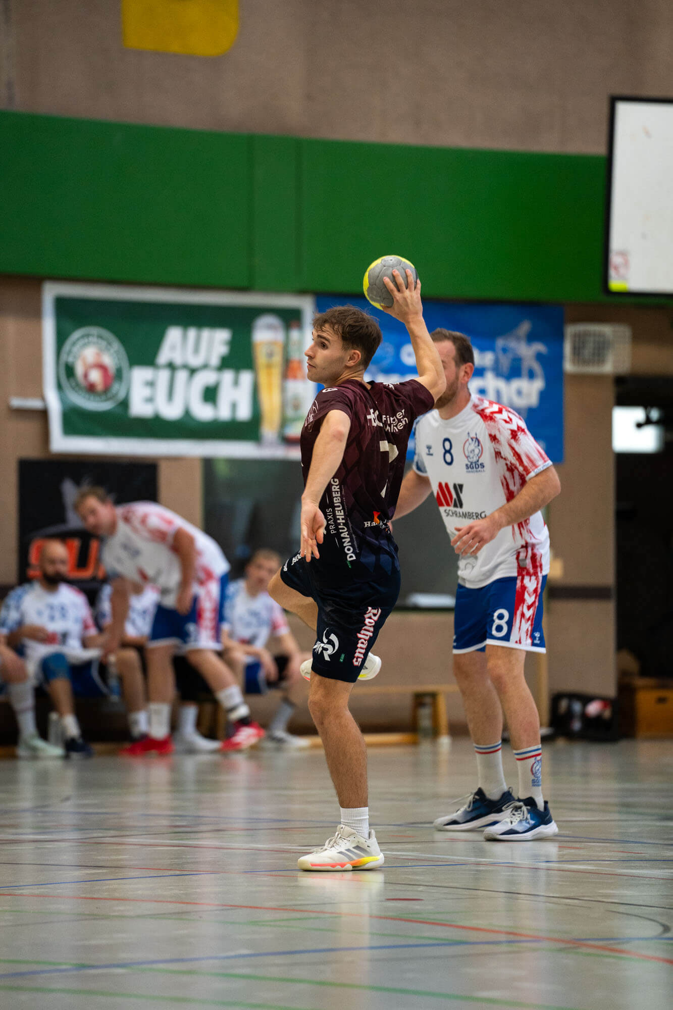 Herren 1 vs. HSG Fridingen/Mühlheim, Bild 1