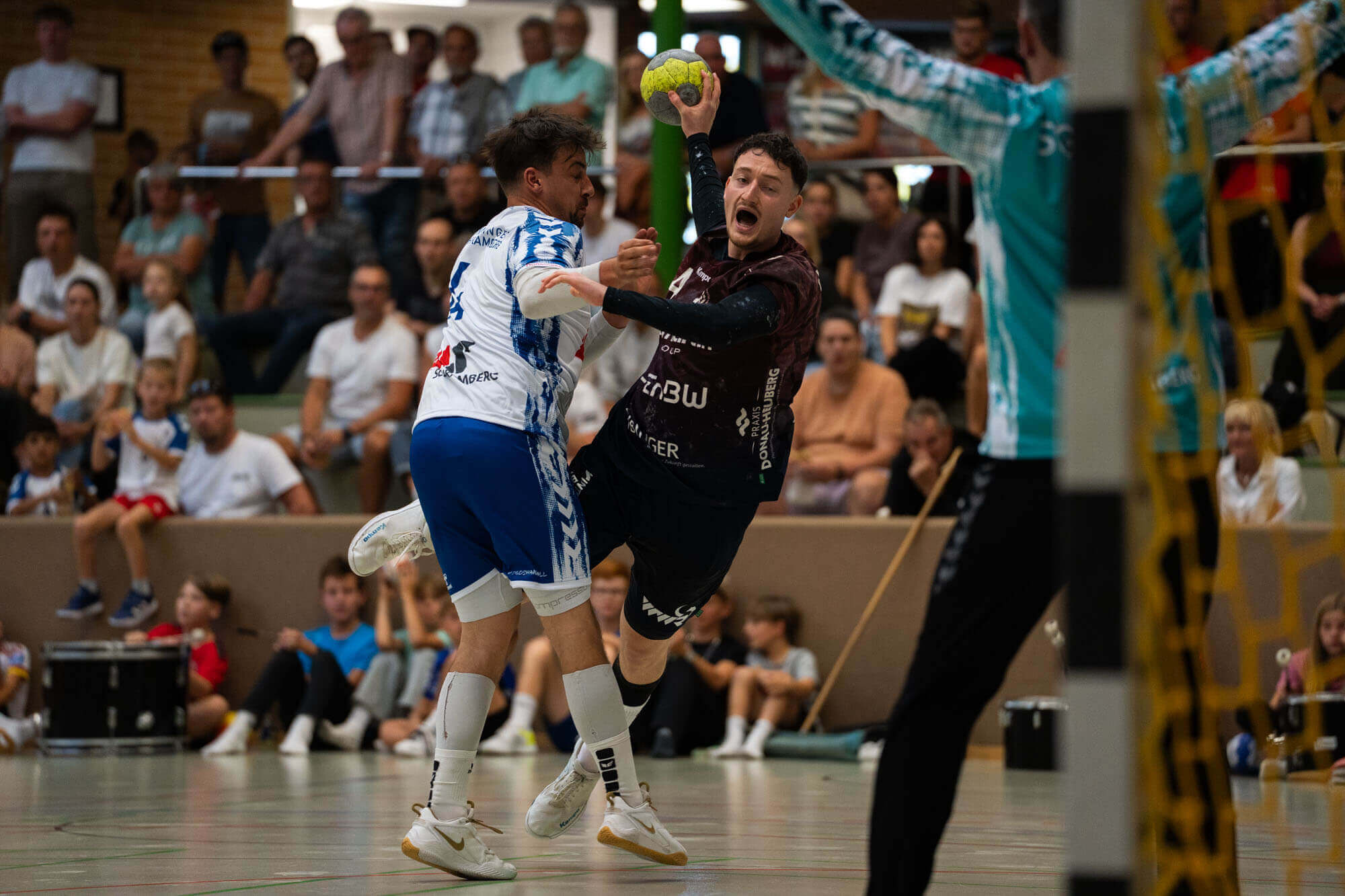 Herren 1 vs. HSG Fridingen/Mühlheim, Bild 9
