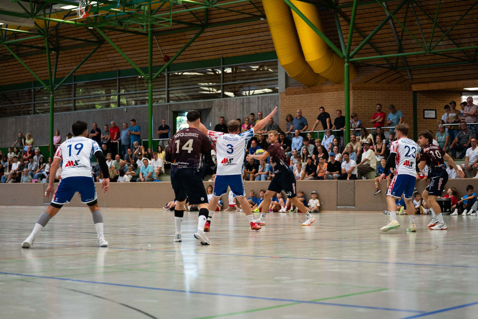Herren 1 vs. HSG Fridingen/Mühlheim, Bild 11