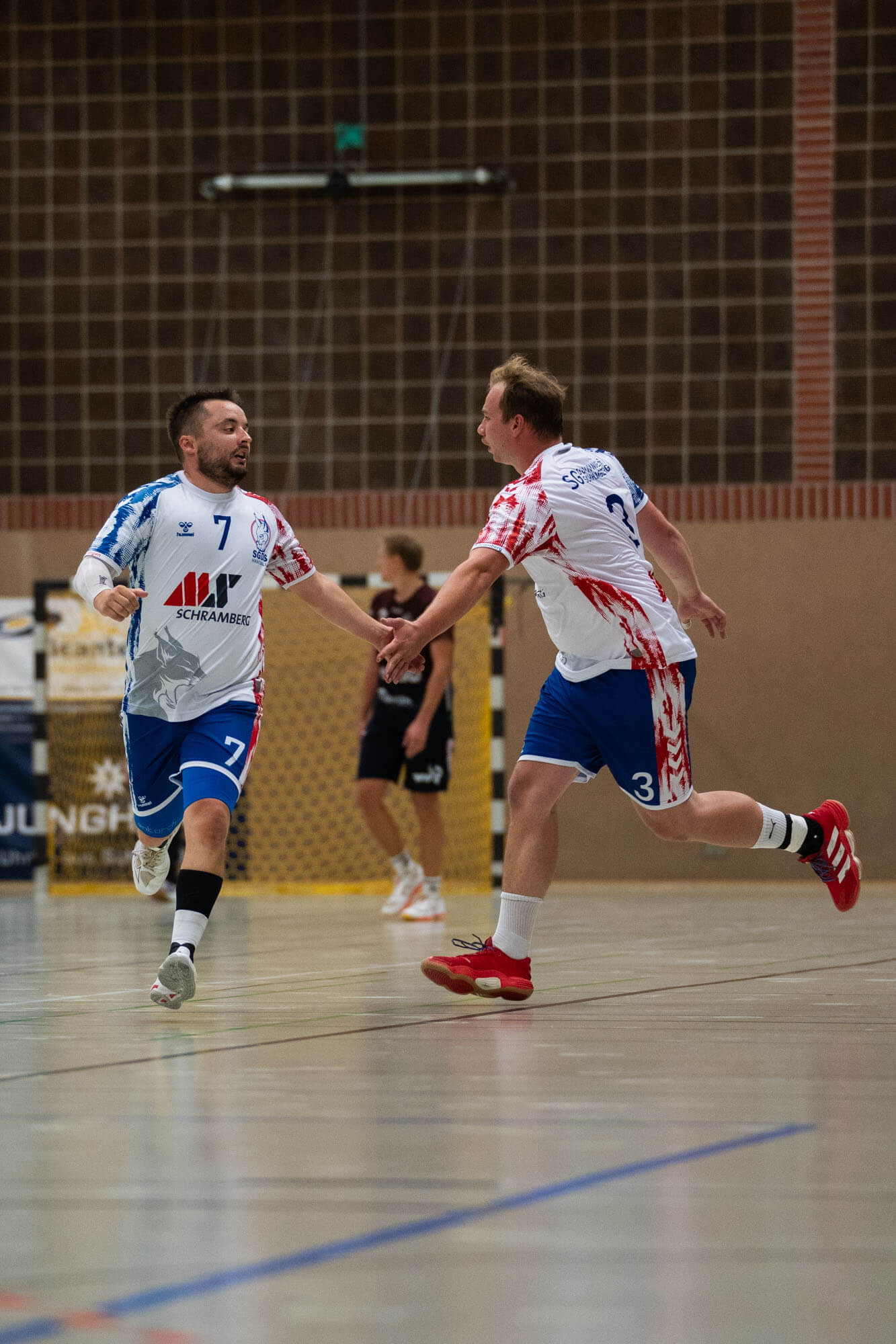 Herren 1 vs. HSG Fridingen/Mühlheim, Bild 22